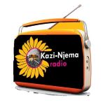 Kazi Njema Radio