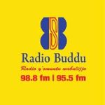 Radio Buddu